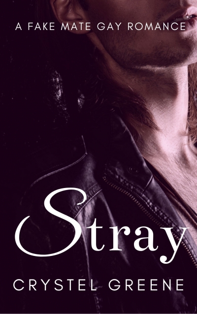 Stray (Fennys Den College #1)