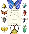 Interesting Insects by Gavin R. Broad