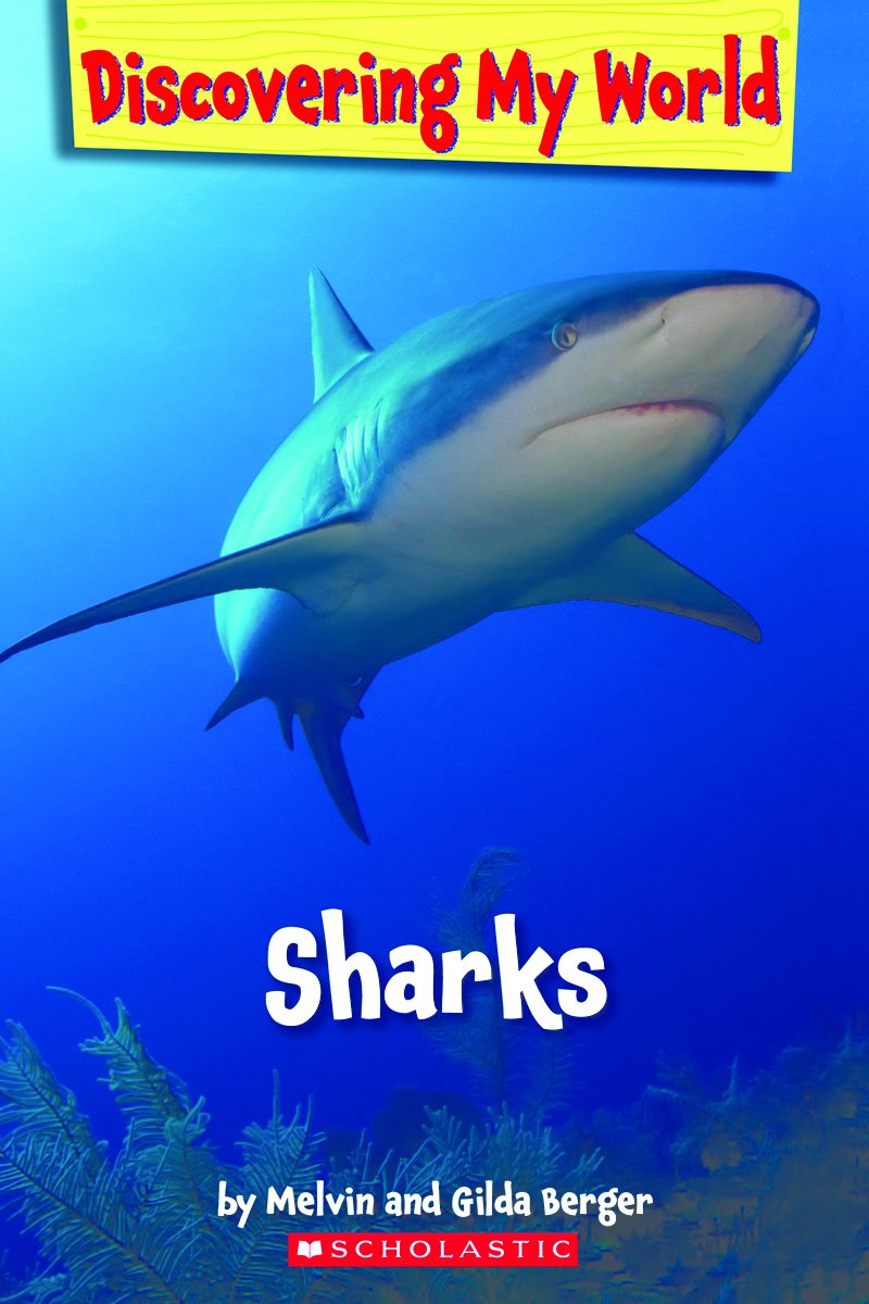 Sharks (Discovering My World)