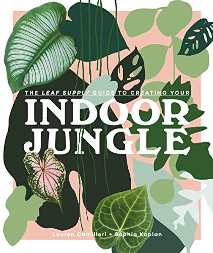 Indoor Jungle (Hardcover)
