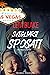 Svegliarsi sposati (Wake Up Married, #1)