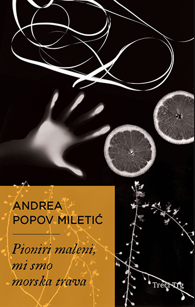 Pioniri maleni, mi smo morska trava (Paperback)