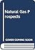 Natural Gas Prospects