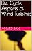 Life Cycle Aspects of Wind ...