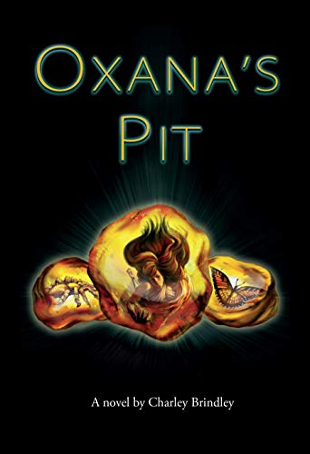 Oxana's Amber (Kindle Edition)