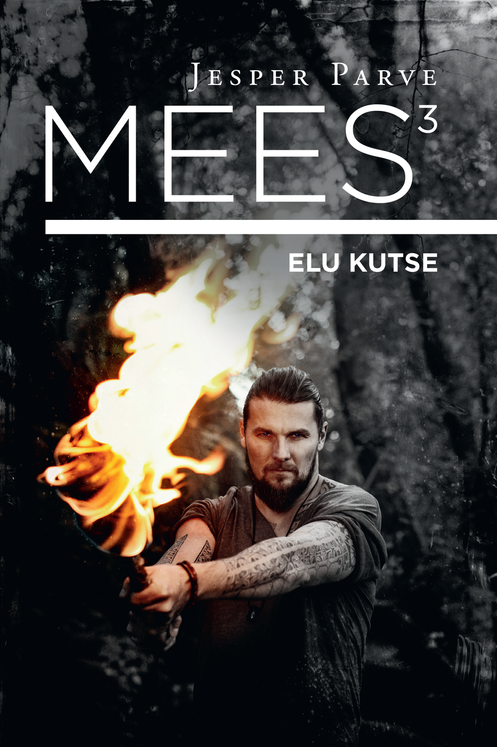 MEES 3. ELU KUTSE (Paperback)