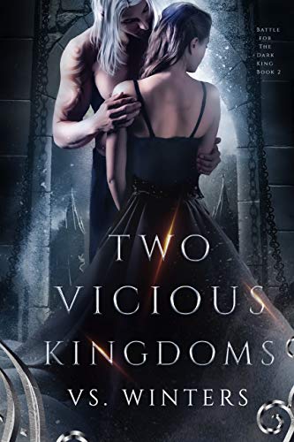 Two Vicious Kingdoms (Battle for The Dark King,  #2)