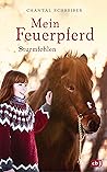 Sturmfohlen (Mein Feuerpferd, #2)