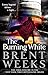 The Burning White (Lightbringer Book 5)