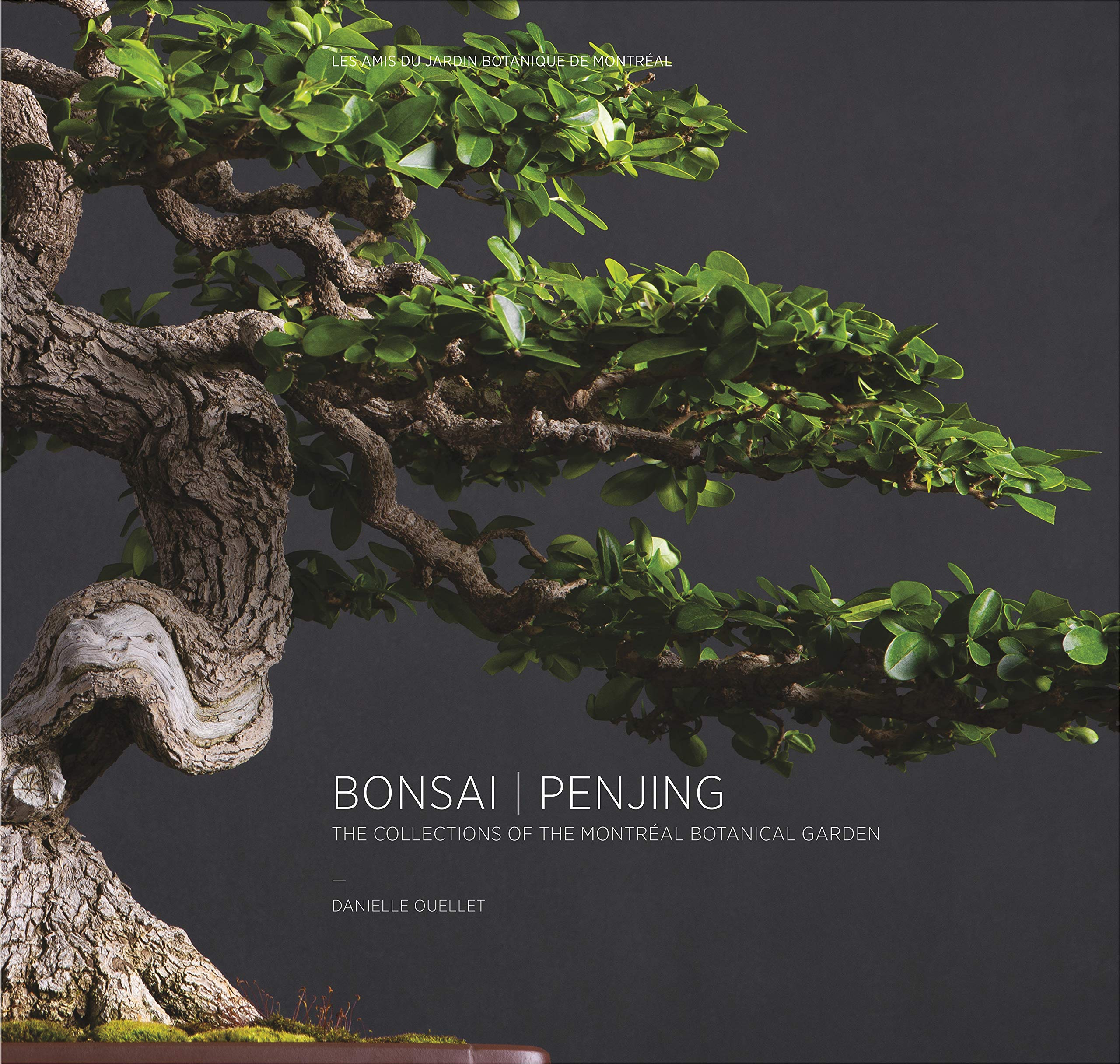 Bonsai | Penjing: The Collections of the Montréal Botanical Garden (Hardcover)