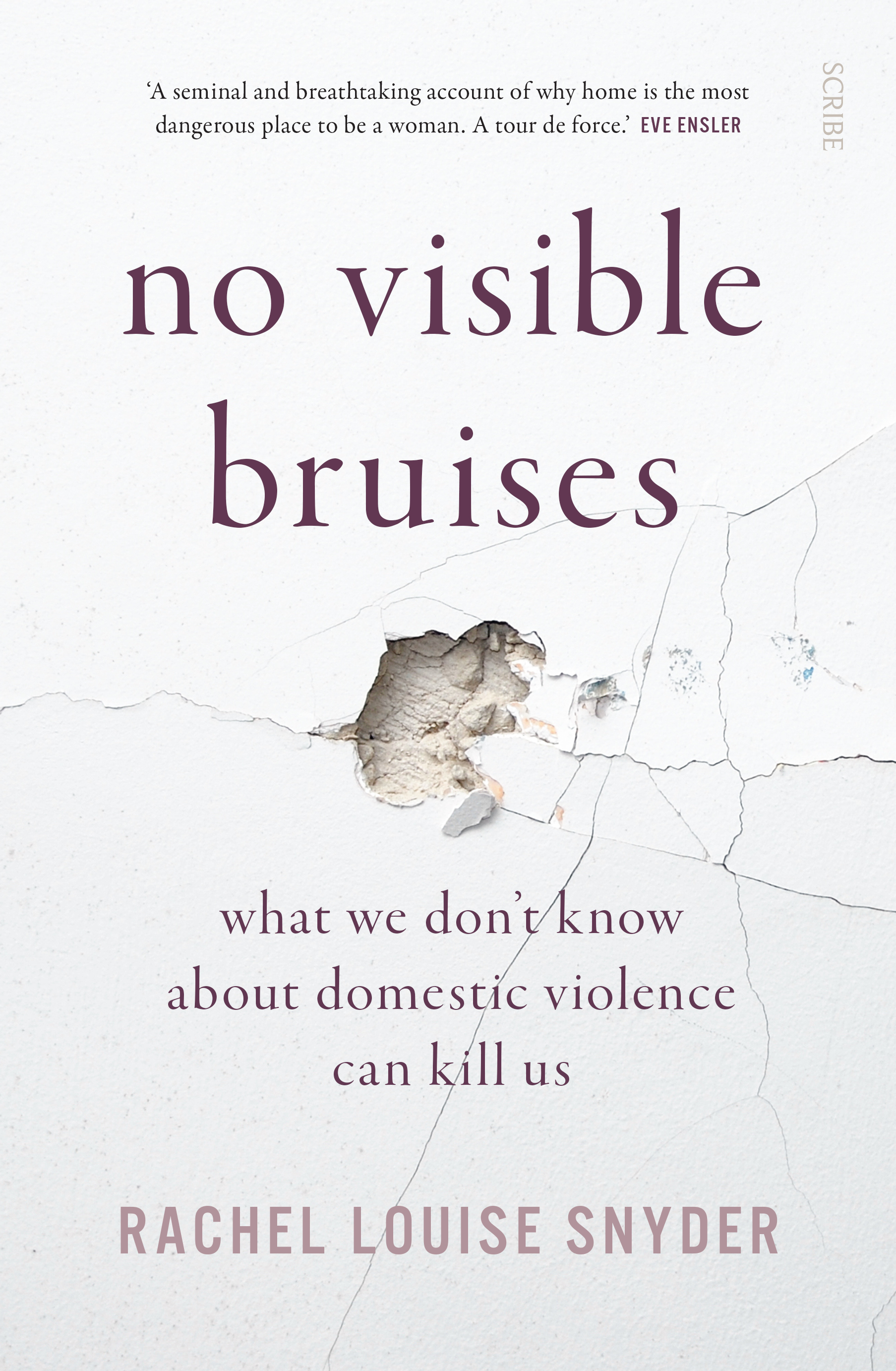 No Visible Bruises: what we don?t know about domestic violence can kill us