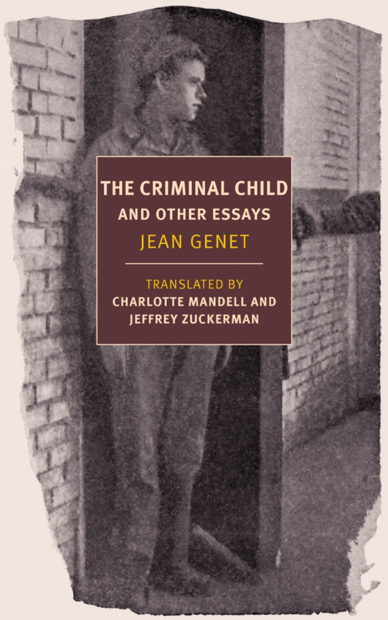 The Criminal Child and Other Essays (Paperback)