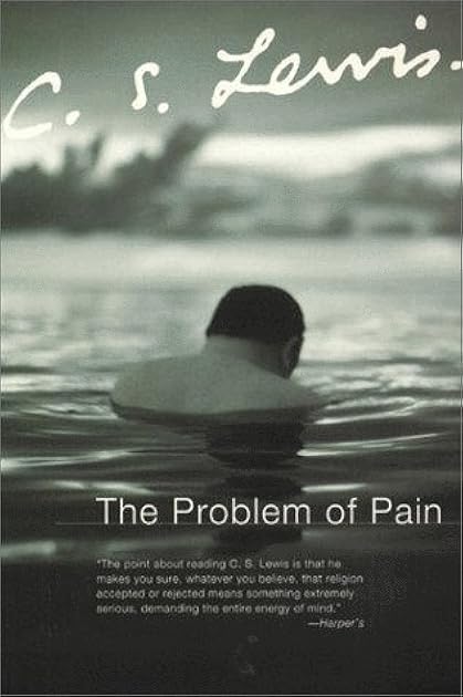 The Problem of Pain