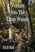 Venture Into The Deep Woods...