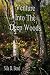 Venture Into The Deep Woods by Nila Bond Venture Into The Deep Woods by Nila Bond