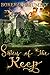 Sisters of the Keep Storm the Castle (A Modern Fairy Tale Book 3) by Bokerah Brumley
