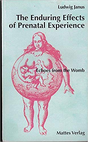 Enduring Effects of Prenatal Experience: Echoes from the Womb (Perfect Paperback)