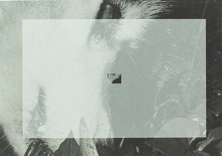 The Mechanical Retina on My Fingertips (Softcover)