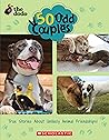 50 Odd Couples (The Dodo)
