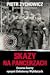 Skazy na pancerzach. Czarne karty epopei Żołnierzy Wyklętych by Piotr Zychowicz