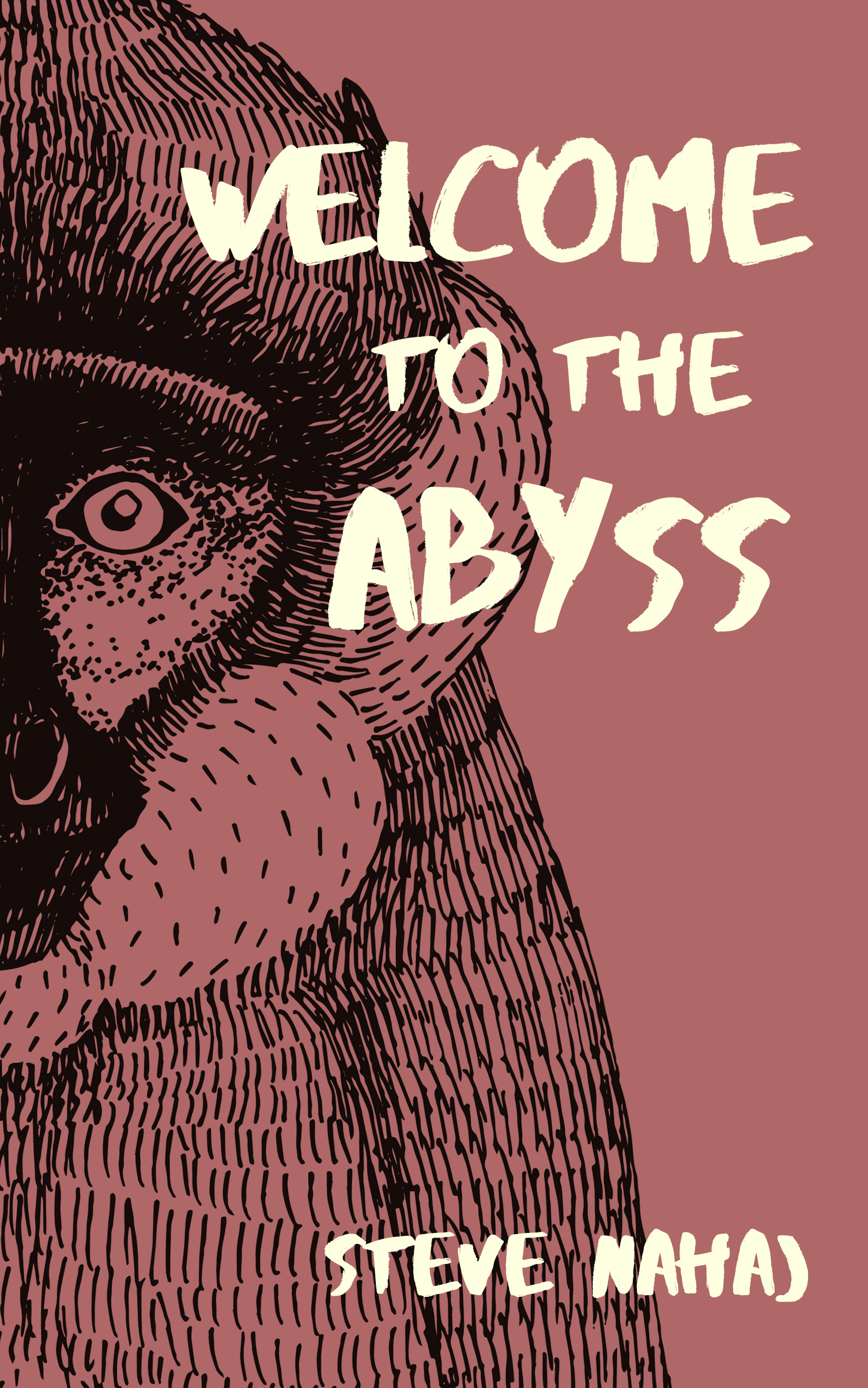 Welcome to the Abyss (Paperback)