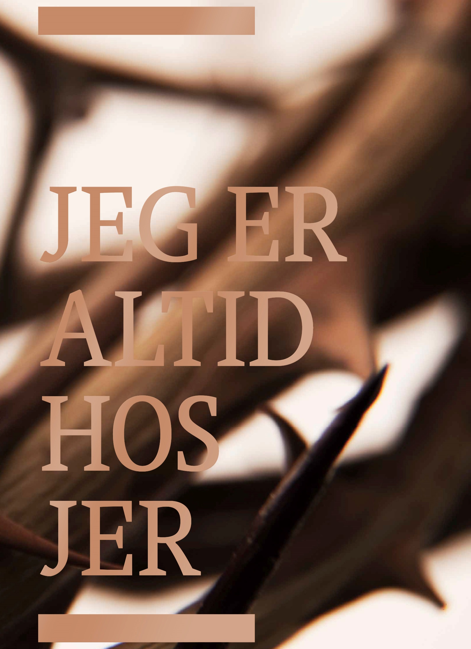 Bibelen - på hverdagsdansk (Hardcover)