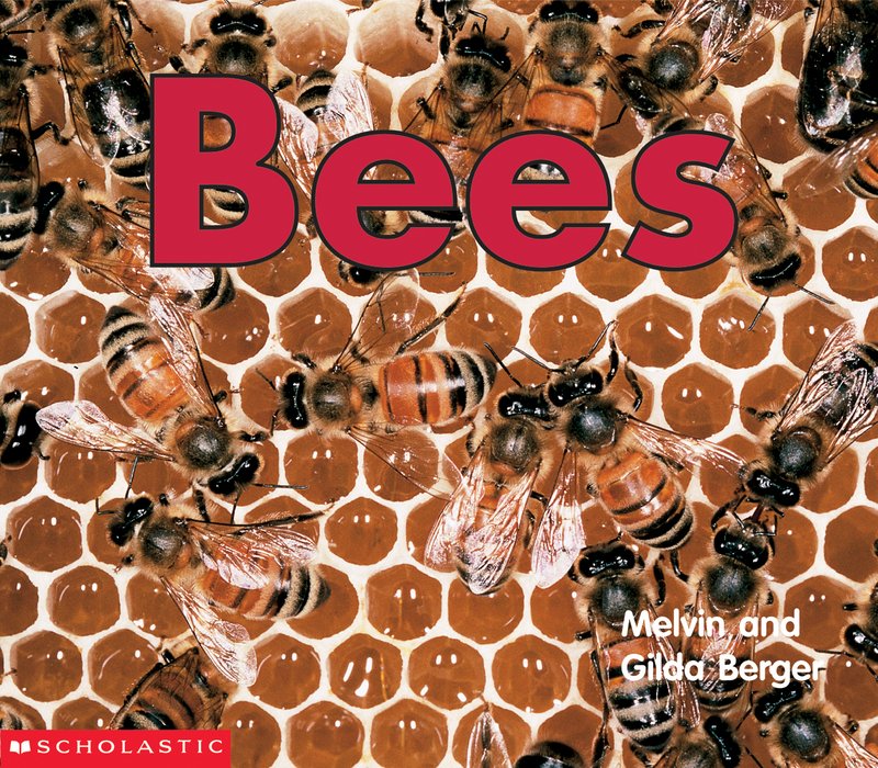 Bees (Time-to-Discover)