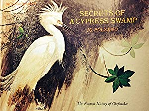 Secrets of a Cypress Swamp (Paperback)