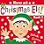Never Ask A Christmas Elf (Never Ask #3)