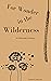 For Wonder in the Wilderness