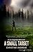 A Small Target (Lee Squires Book 3)