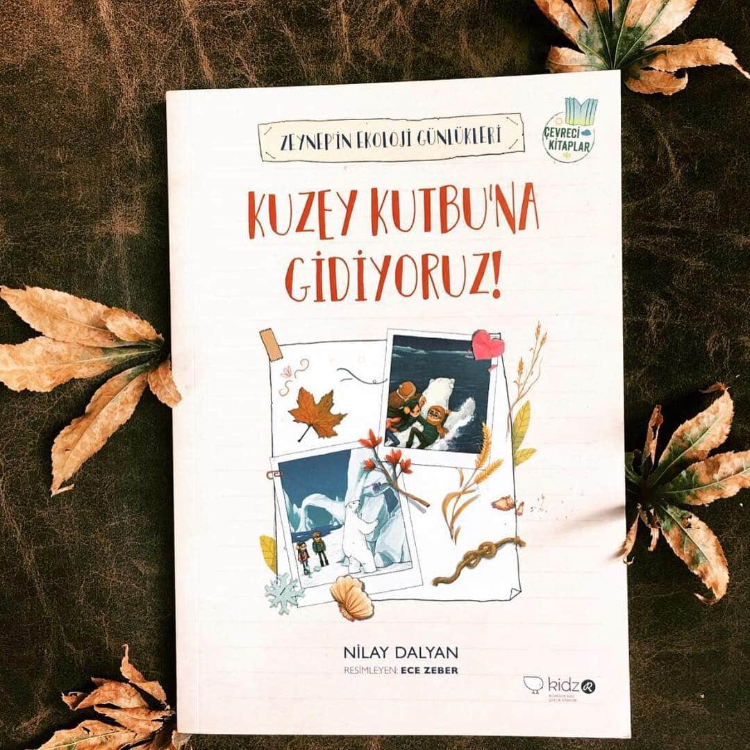 Kuzey Kutbu'na Gidiyoruz!