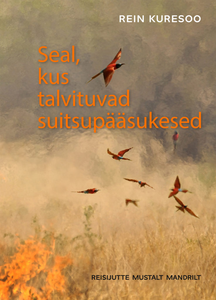 Seal, kus talvituvad suitsupääsukesed