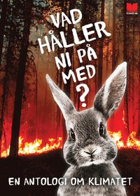 Vad håller ni på med? : En antologi om klimatet