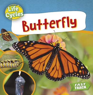 Butterfly (Hardcover)