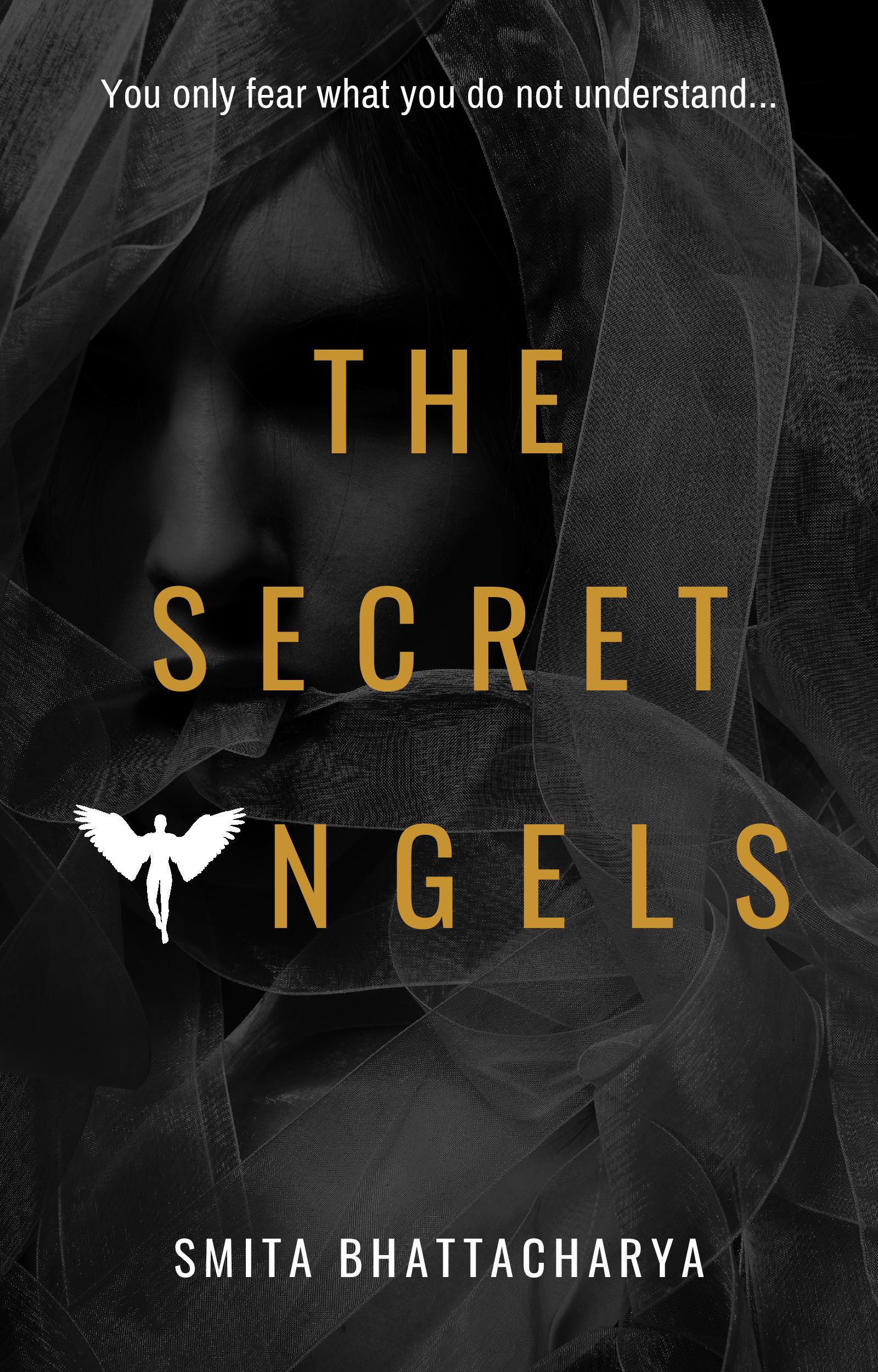 The Secret Angels (Darya Nandkarni's Misadventures #2)