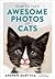 How to Take Awesome Photos of Cats