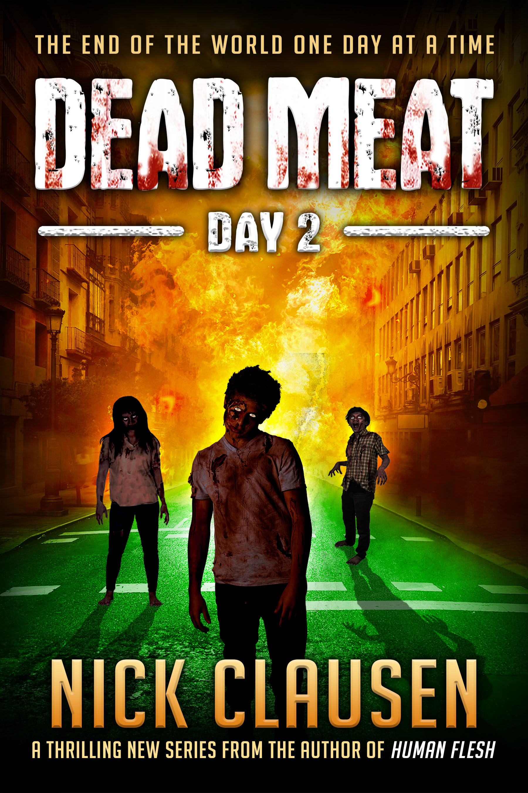 Dead Meat: Day 2 (Dead Meat, #2)