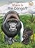 Where Is the Congo? (Where Is?)
