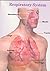 JINDAL NATURECURE INSTITUTE RESPIRATORY SYSTEM by S.R. Jindal