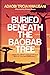 Buried Beneath The Baobab Tree by Adaobi Tricia Nwaubani