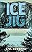 Ice Jig (Frank Bennett Adirondack Mountain Mystery #6) by S.W. Hubbard