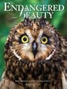 Endangered Beauty