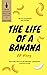 The Life of a Banana