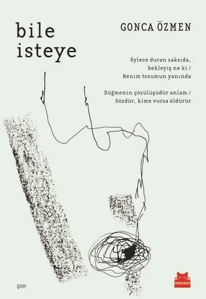 Bile İsteye (Paperback)