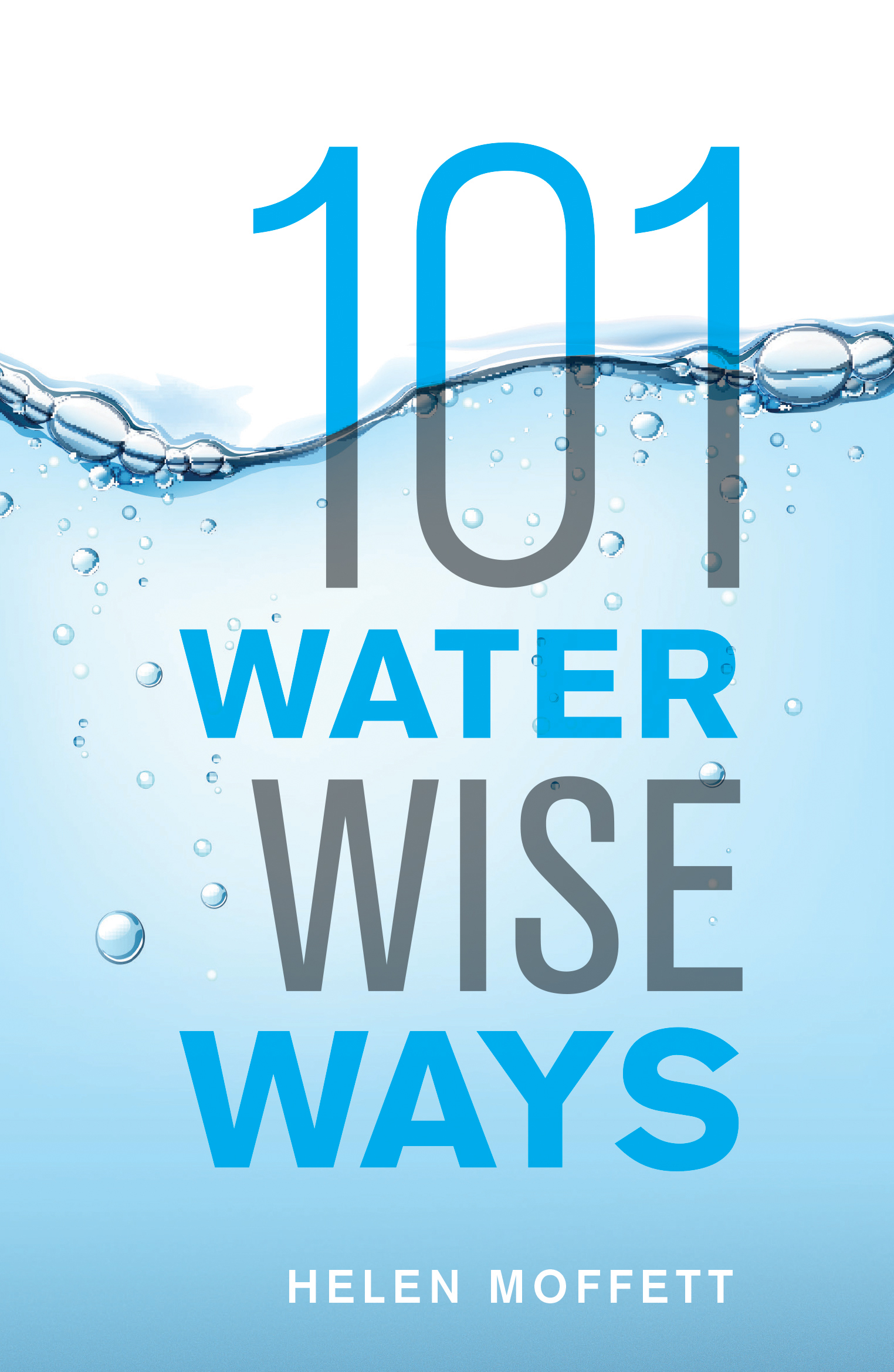 101 Water Wise Ways (Paperback)