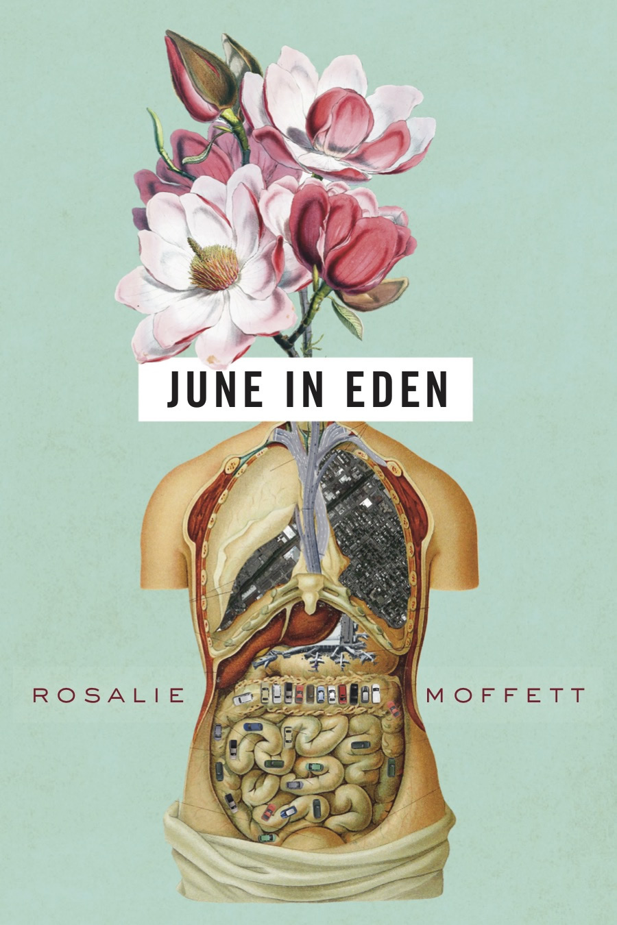 June in Eden (OSU JOURNAL AWARD POETRY)