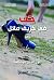‫حب في خريف مائل‬ (Arabic Edition)