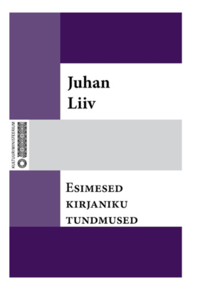 Esimesed kirjaniku tundmused (Paperback)