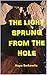 THE LIGHT SPRUNG FROM THE HOLE by Haya Berkowitz